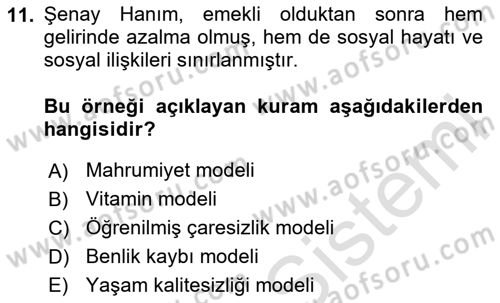 Çalışma Psikolojisi Dersi 2024 - 2025 Yılı Yaz Okulu Sınav Soruları 11. Soru