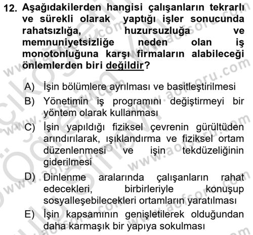 Çalışma Psikolojisi Dersi 2024 - 2025 Yılı Yaz Okulu Sınav Soruları 12. Soru