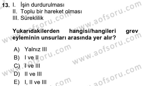 Çalışma Psikolojisi Dersi 2024 - 2025 Yılı Yaz Okulu Sınav Soruları 13. Soru
