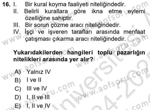 Çalışma Psikolojisi Dersi 2024 - 2025 Yılı Yaz Okulu Sınav Soruları 16. Soru