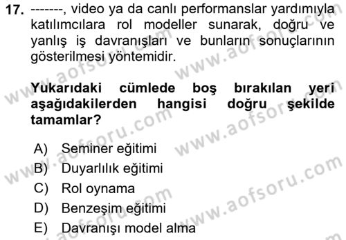 Çalışma Psikolojisi Dersi 2024 - 2025 Yılı Yaz Okulu Sınav Soruları 17. Soru