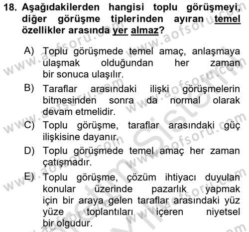 Çalışma Psikolojisi Dersi 2024 - 2025 Yılı Yaz Okulu Sınav Soruları 18. Soru