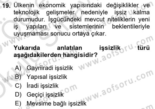 Çalışma Psikolojisi Dersi 2024 - 2025 Yılı Yaz Okulu Sınav Soruları 19. Soru