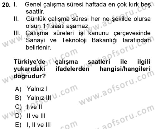Çalışma Psikolojisi Dersi 2024 - 2025 Yılı Yaz Okulu Sınav Soruları 20. Soru