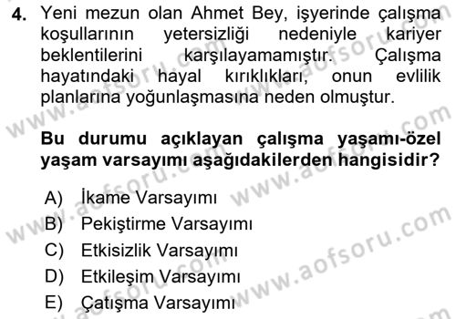 Çalışma Psikolojisi Dersi 2024 - 2025 Yılı Yaz Okulu Sınav Soruları 4. Soru