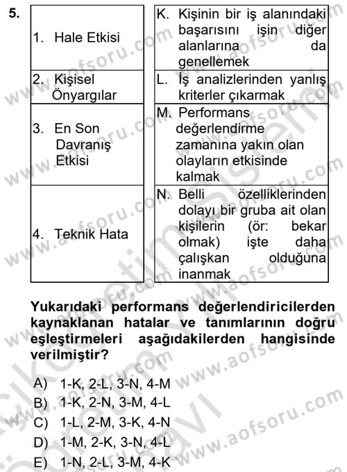 Çalışma Psikolojisi Dersi 2024 - 2025 Yılı Yaz Okulu Sınav Soruları 5. Soru