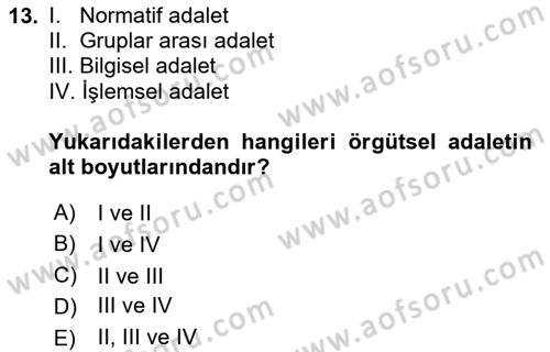 Çalışma Psikolojisi Dersi 2025 - 2026 Yılı (Vize) Ara Sınav Soruları 13. Soru