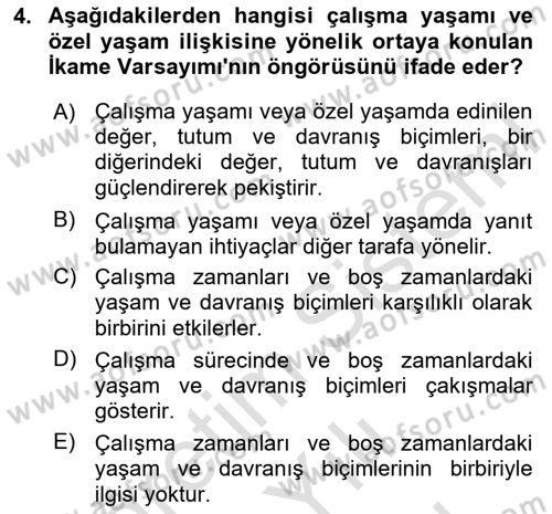 Çalışma Psikolojisi Dersi 2025 - 2026 Yılı (Vize) Ara Sınav Soruları 4. Soru
