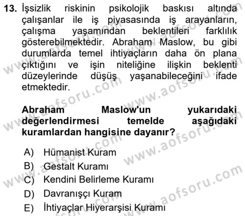 Çalışma Psikolojisi Dersi 2025 - 2026 Yılı (Final) Dönem Sonu Sınav Soruları 13. Soru