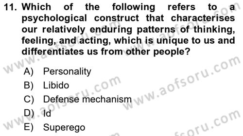 Psychology Dersi 2020 - 2021 Yılı Yaz Okulu Sınav Soruları 11. Soru
