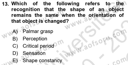 Psychology Dersi 2020 - 2021 Yılı Yaz Okulu Sınav Soruları 13. Soru