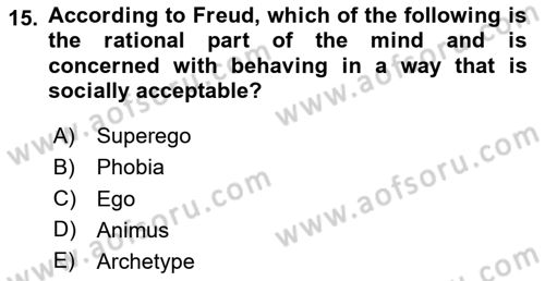 Psychology Dersi 2020 - 2021 Yılı Yaz Okulu Sınav Soruları 15. Soru
