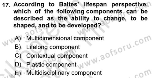 Psychology Dersi 2020 - 2021 Yılı Yaz Okulu Sınav Soruları 17. Soru