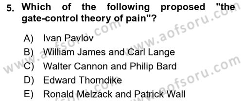 Psychology Dersi 2020 - 2021 Yılı Yaz Okulu Sınav Soruları 5. Soru
