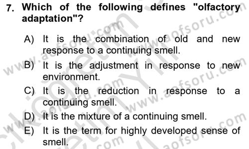 Psychology Dersi 2020 - 2021 Yılı Yaz Okulu Sınav Soruları 7. Soru