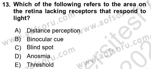 Psychology Dersi 2021 - 2022 Yılı (Vize) Ara Sınav Soruları 13. Soru