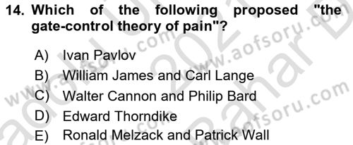Psychology Dersi 2021 - 2022 Yılı (Vize) Ara Sınav Soruları 14. Soru