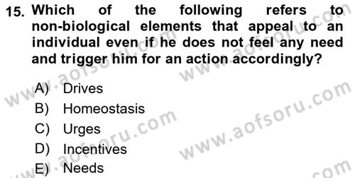 Psychology Dersi 2021 - 2022 Yılı (Vize) Ara Sınav Soruları 15. Soru