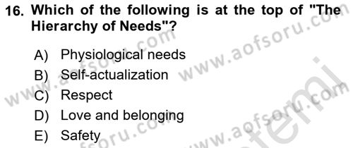 Psychology Dersi 2021 - 2022 Yılı (Vize) Ara Sınav Soruları 16. Soru