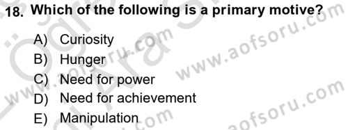 Psychology Dersi 2021 - 2022 Yılı (Vize) Ara Sınav Soruları 18. Soru