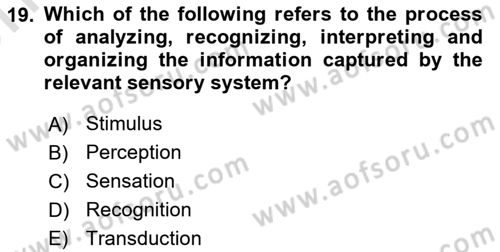 Psychology Dersi 2021 - 2022 Yılı (Vize) Ara Sınav Soruları 19. Soru