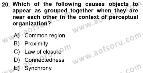 Psychology Dersi 2021 - 2022 Yılı (Vize) Ara Sınav Soruları 20. Soru