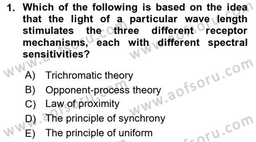 Psychology Dersi 2021 - 2022 Yılı (Final) Dönem Sonu Sınav Soruları 1. Soru