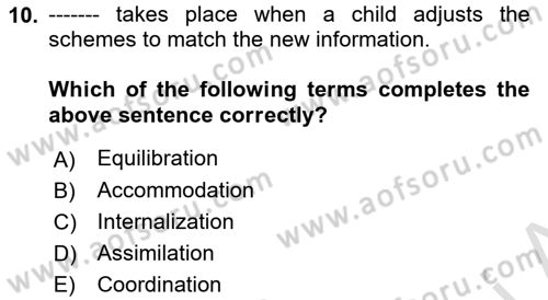 Psychology Dersi 2021 - 2022 Yılı (Final) Dönem Sonu Sınav Soruları 10. Soru