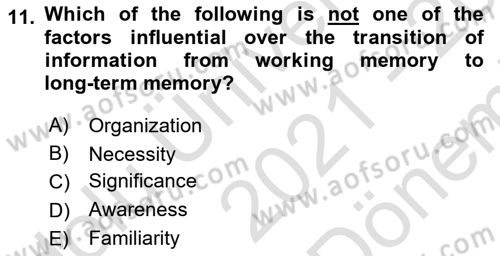 Psychology Dersi 2021 - 2022 Yılı (Final) Dönem Sonu Sınav Soruları 11. Soru