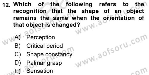 Psychology Dersi 2021 - 2022 Yılı (Final) Dönem Sonu Sınav Soruları 12. Soru