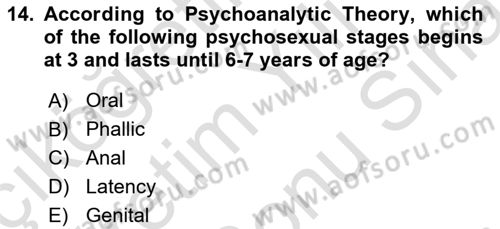Psychology Dersi 2021 - 2022 Yılı (Final) Dönem Sonu Sınav Soruları 14. Soru
