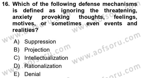 Psychology Dersi 2021 - 2022 Yılı (Final) Dönem Sonu Sınav Soruları 16. Soru