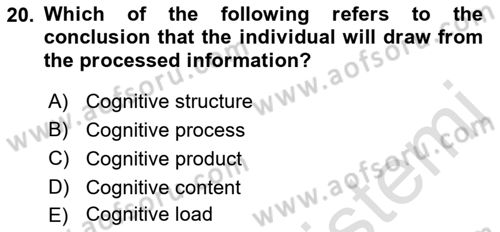 Psychology Dersi 2021 - 2022 Yılı (Final) Dönem Sonu Sınav Soruları 20. Soru