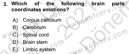 Psychology Dersi 2021 - 2022 Yılı (Final) Dönem Sonu Sınav Soruları 3. Soru