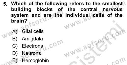 Psychology Dersi 2021 - 2022 Yılı (Final) Dönem Sonu Sınav Soruları 5. Soru