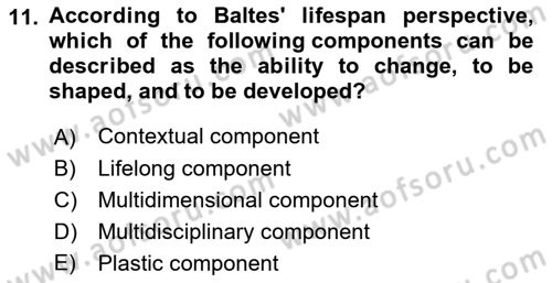 Psychology Dersi 2021 - 2022 Yılı Yaz Okulu Sınav Soruları 11. Soru
