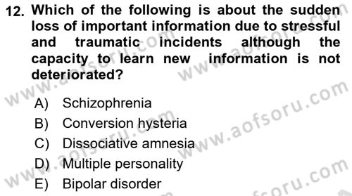 Psychology Dersi 2021 - 2022 Yılı Yaz Okulu Sınav Soruları 12. Soru