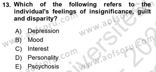 Psychology Dersi 2021 - 2022 Yılı Yaz Okulu Sınav Soruları 13. Soru