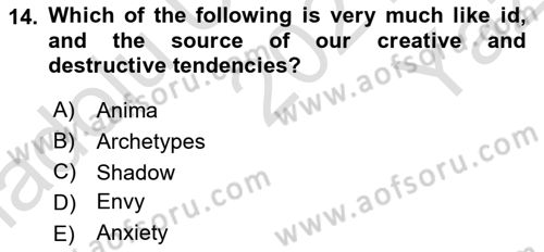 Psychology Dersi 2021 - 2022 Yılı Yaz Okulu Sınav Soruları 14. Soru