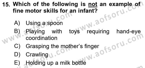 Psychology Dersi 2021 - 2022 Yılı Yaz Okulu Sınav Soruları 15. Soru