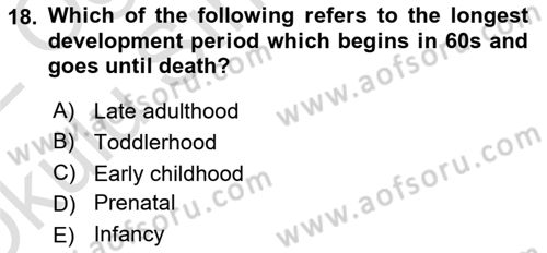 Psychology Dersi 2021 - 2022 Yılı Yaz Okulu Sınav Soruları 18. Soru
