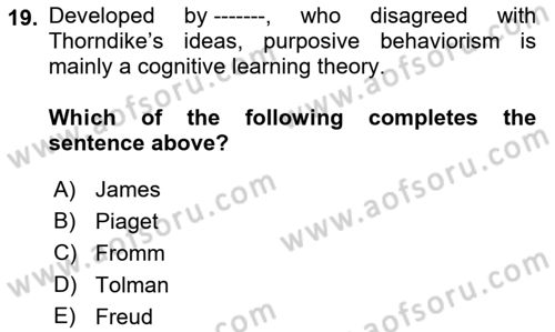 Psychology Dersi 2021 - 2022 Yılı Yaz Okulu Sınav Soruları 19. Soru