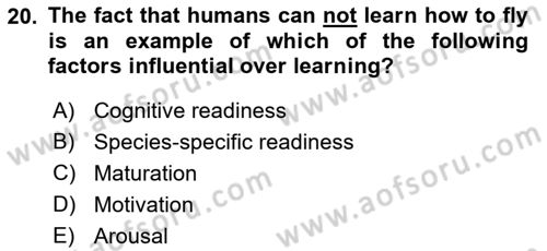 Psychology Dersi 2021 - 2022 Yılı Yaz Okulu Sınav Soruları 20. Soru