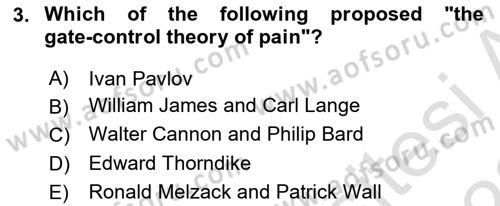 Psychology Dersi 2021 - 2022 Yılı Yaz Okulu Sınav Soruları 3. Soru