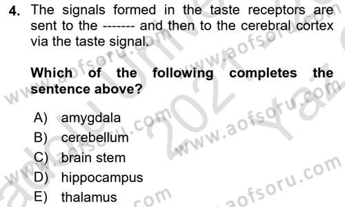 Psychology Dersi 2021 - 2022 Yılı Yaz Okulu Sınav Soruları 4. Soru