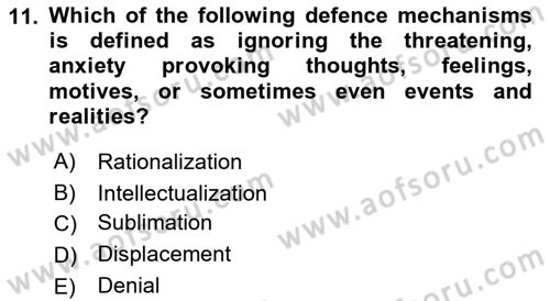 Psychology Dersi 2022 - 2023 Yılı Yaz Okulu Sınav Soruları 11. Soru