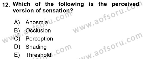 Psychology Dersi 2022 - 2023 Yılı Yaz Okulu Sınav Soruları 12. Soru