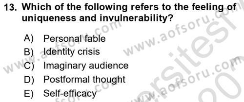 Psychology Dersi 2022 - 2023 Yılı Yaz Okulu Sınav Soruları 13. Soru