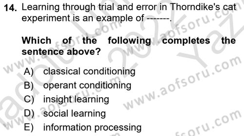 Psychology Dersi 2022 - 2023 Yılı Yaz Okulu Sınav Soruları 14. Soru