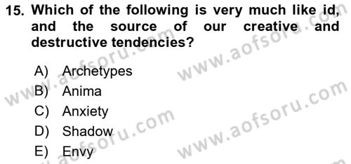 Psychology Dersi 2022 - 2023 Yılı Yaz Okulu Sınav Soruları 15. Soru